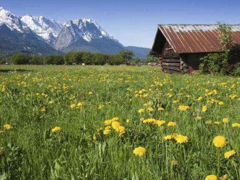 Alpenkette Lägenhet Garmisch-Partenkirchen Exteriör bild